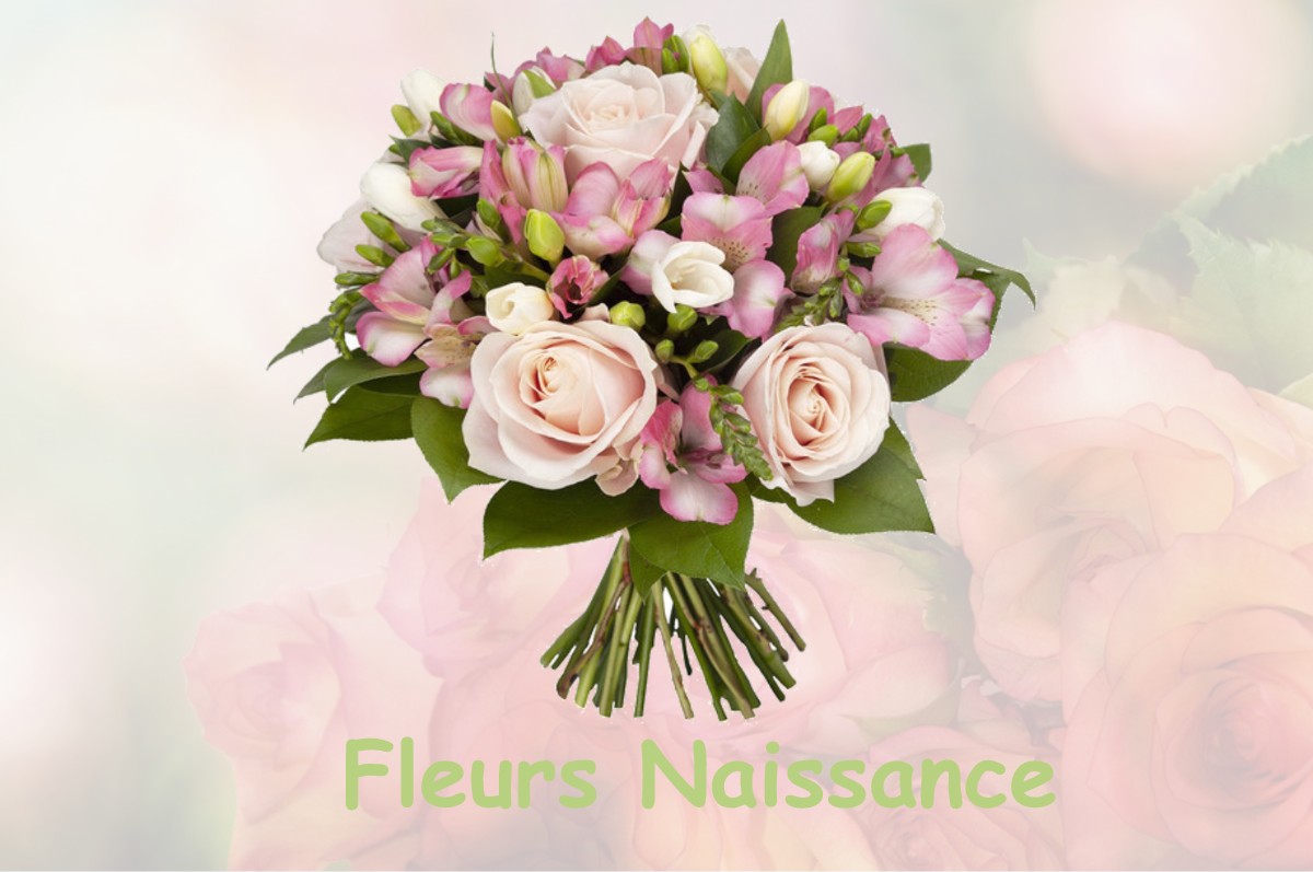 fleurs naissance BAUDIGNAN