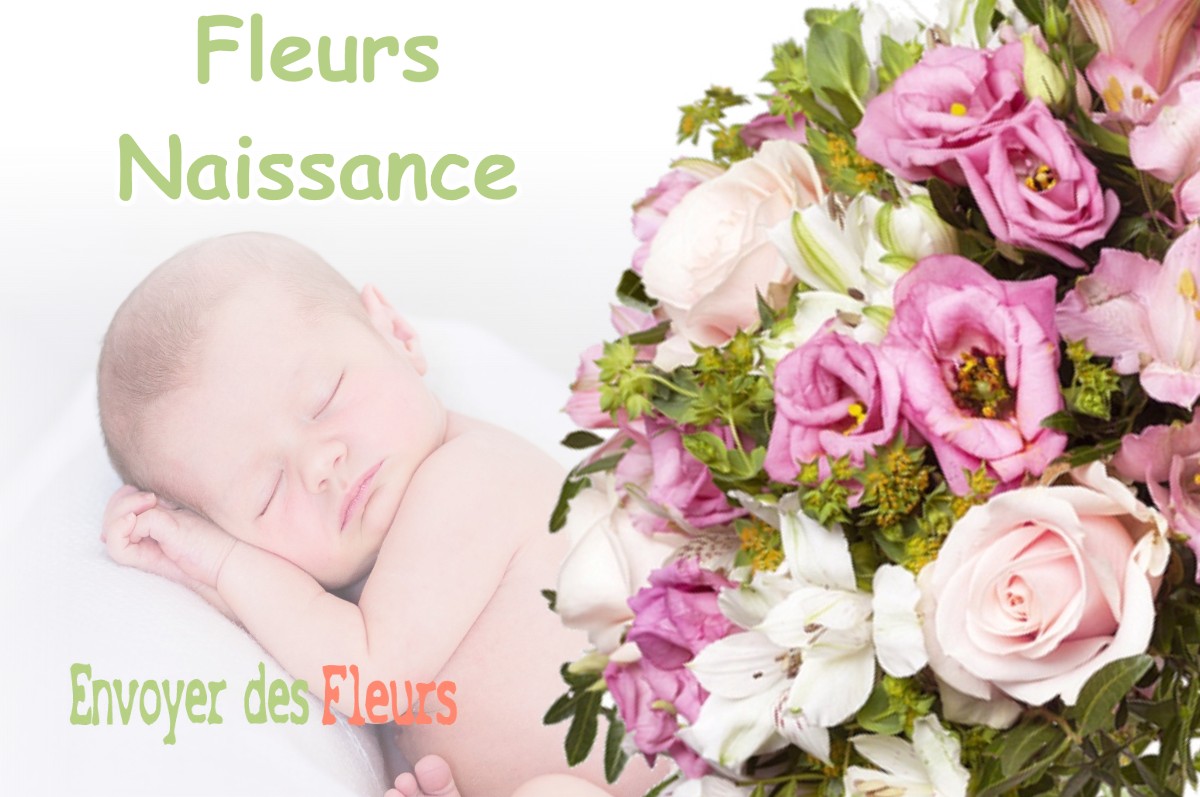 lIVRAISON FLEURS NAISSANCE à BAUDIGNAN