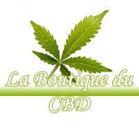 LA BOUTIQUE DU CBD BAUDIGNAN 